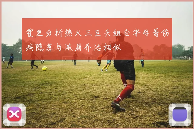霍里分析热火三巨头组合字母哥伤病隐患与浓眉乔治相似