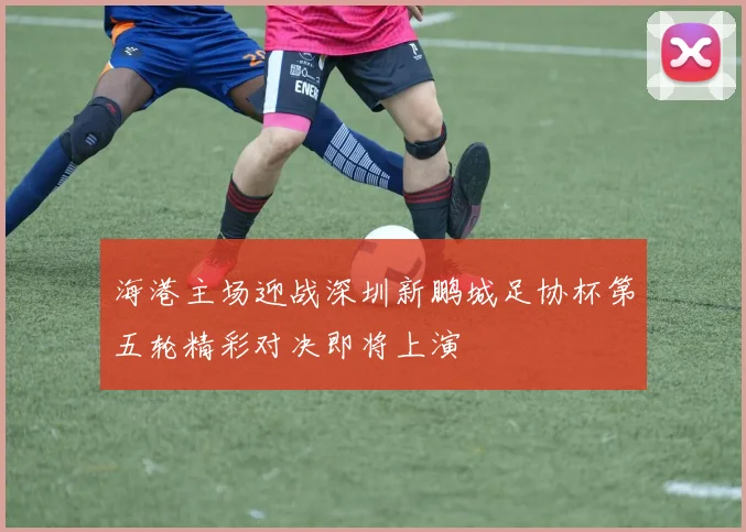 海港主场迎战深圳新鹏城足协杯第五轮精彩对决即将上演